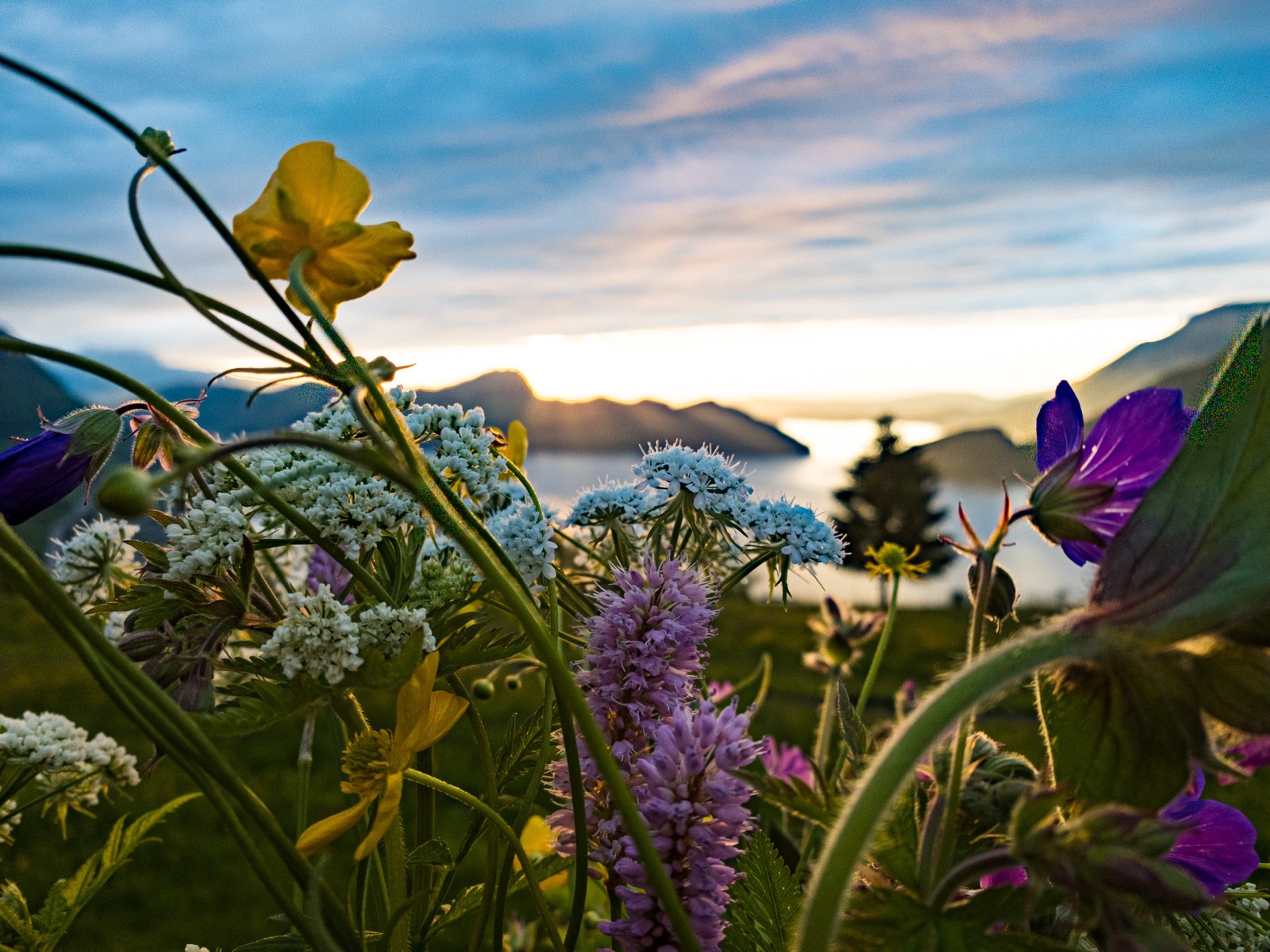 hotel-seeblick-ausblick.jpg